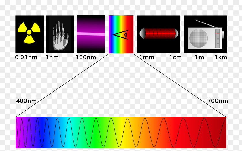 Pas De Deux Light Electromagnetic Spectrum Ultraviolet Radiation Wavelength PNG