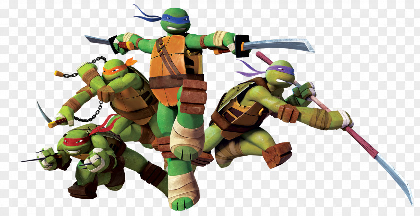 Teenage Mutant Ninja Turtles Raphael Leonardo Michaelangelo Splinter Donatello PNG