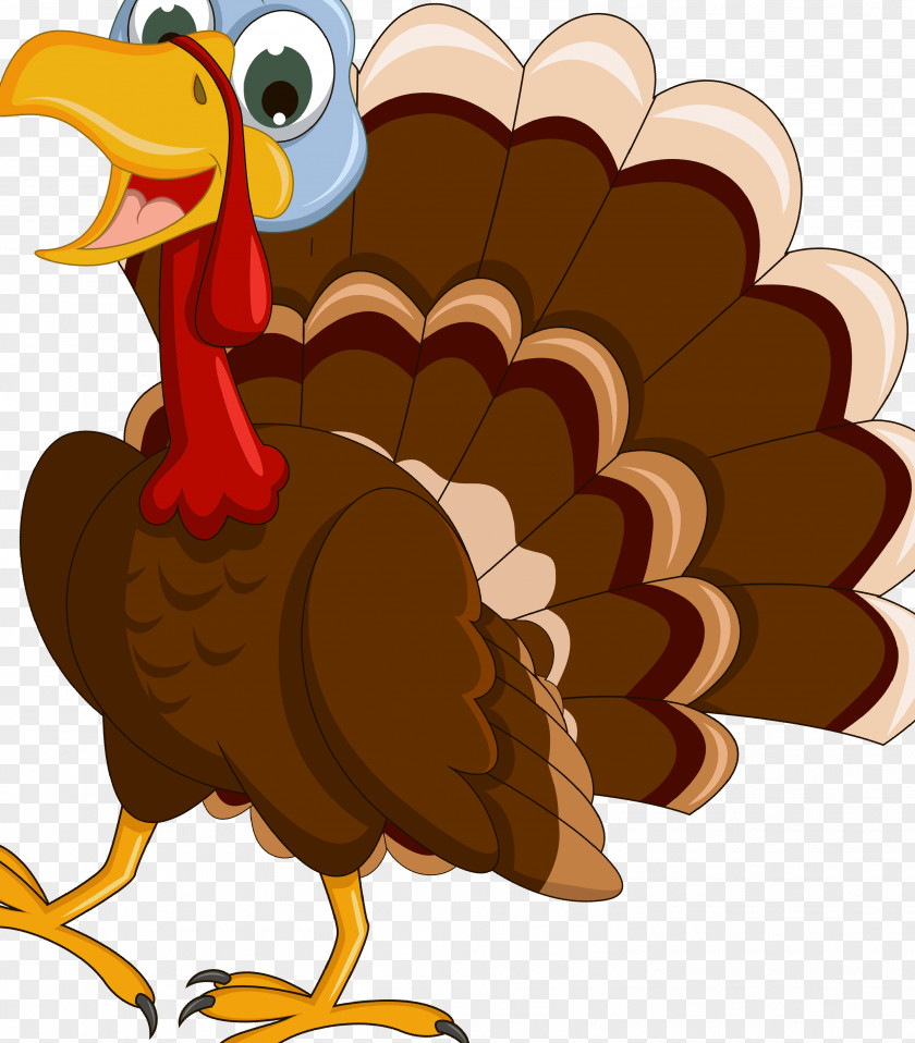 Thanksgiving Turkey Cartoon Drawing Clip Art PNG