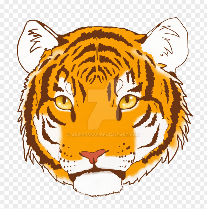 Tiger Whiskers Snout Clip Art PNG