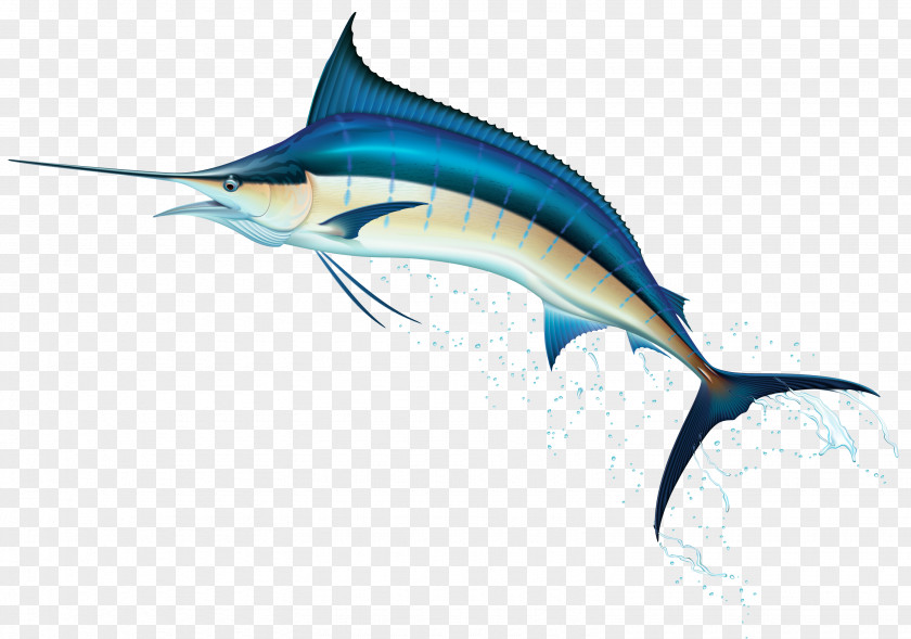 Under Water Swordfish Clip Art PNG