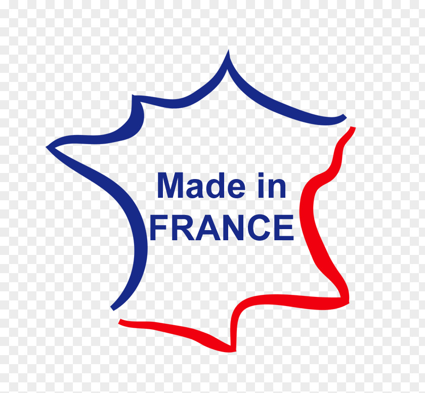 Clip Art Turtle France Logo Tortoise PNG