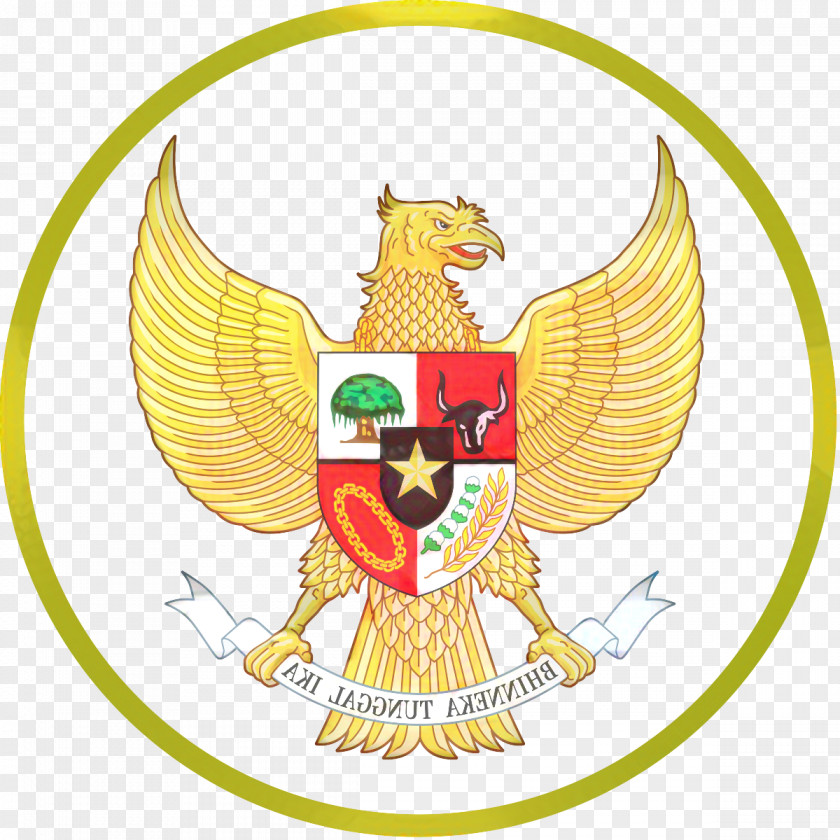 Indonesia National Under-19 Football Team Under-21 Under-23 PNG