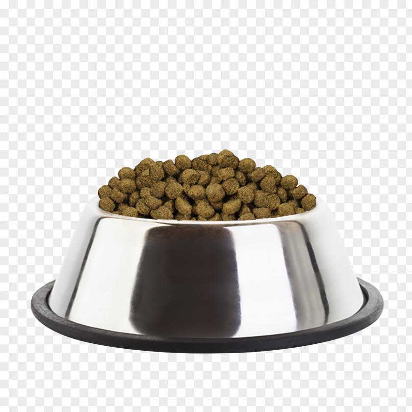 Puppy Cat Food Golden Retriever English Toy Terrier Eukanuba PNG