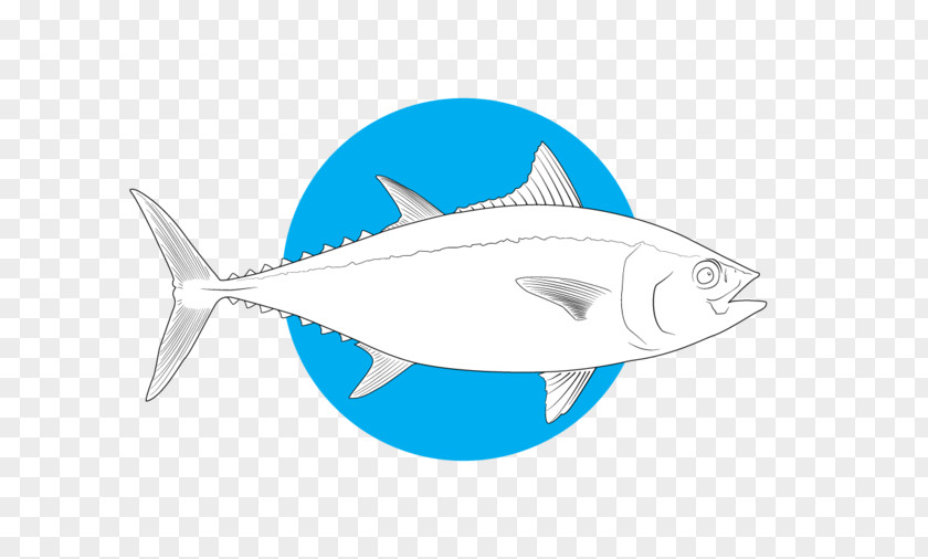 Tuna Shark Bony Fishes Marine Biology Salt Water Sportsman PNG