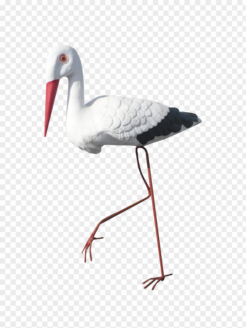 White Crane Bird Stork PNG