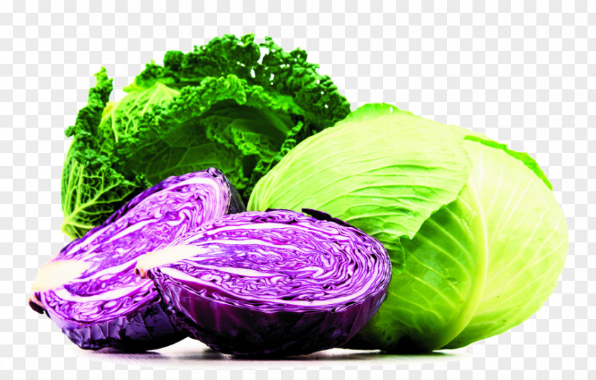 Cabbage Royalty-free Vegetable Photograph Food PNG