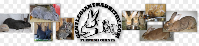 Flemish Giant Rabbit Shoe Clothes Hanger PNG