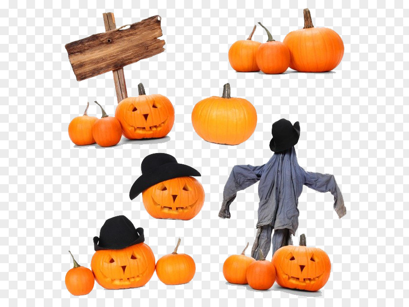 Pumpkin Festival New Hampshire Halloween Jack-o-lantern Clip Art PNG