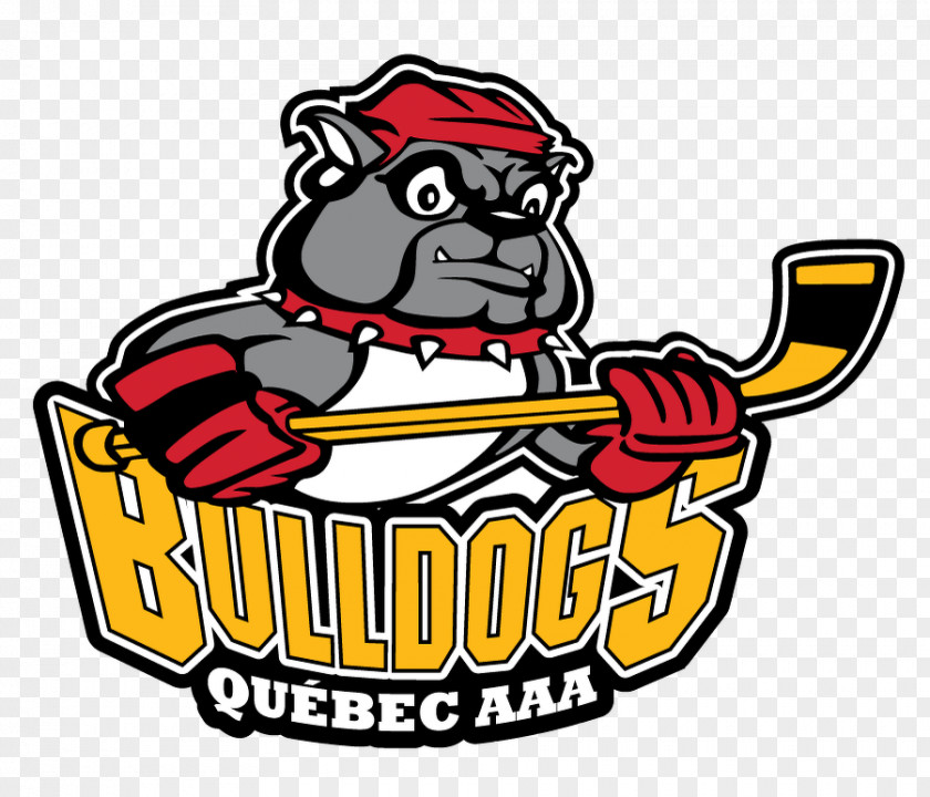 Quebec Bulldogs City Edmonton Oilers Ice Hockey PNG