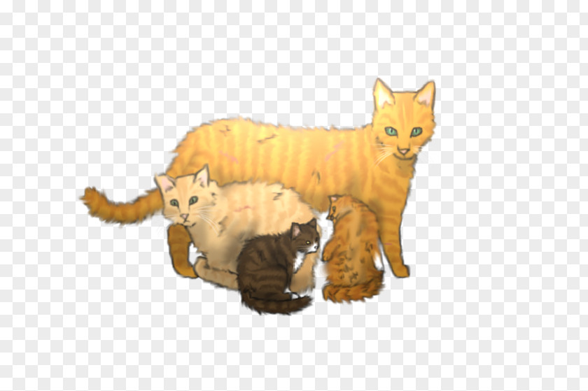 Cat Whiskers Wildcat Warriors Firestar PNG