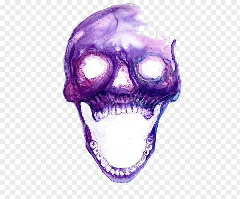 Skull Human Symbolism Image Drawing PNG