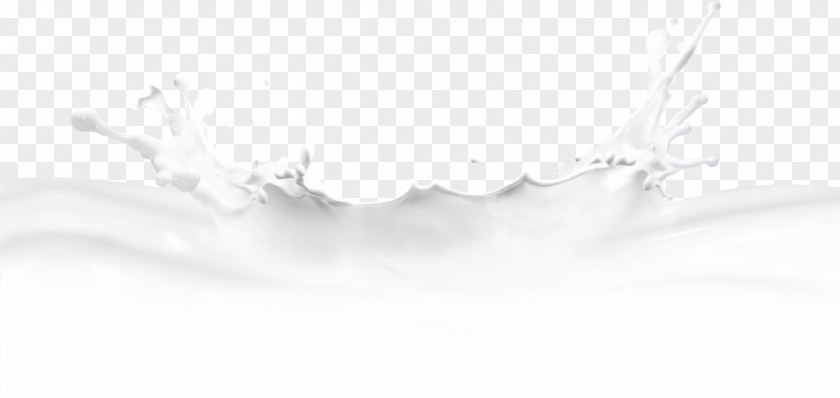 Spilled Milk Paper White Brand PNG