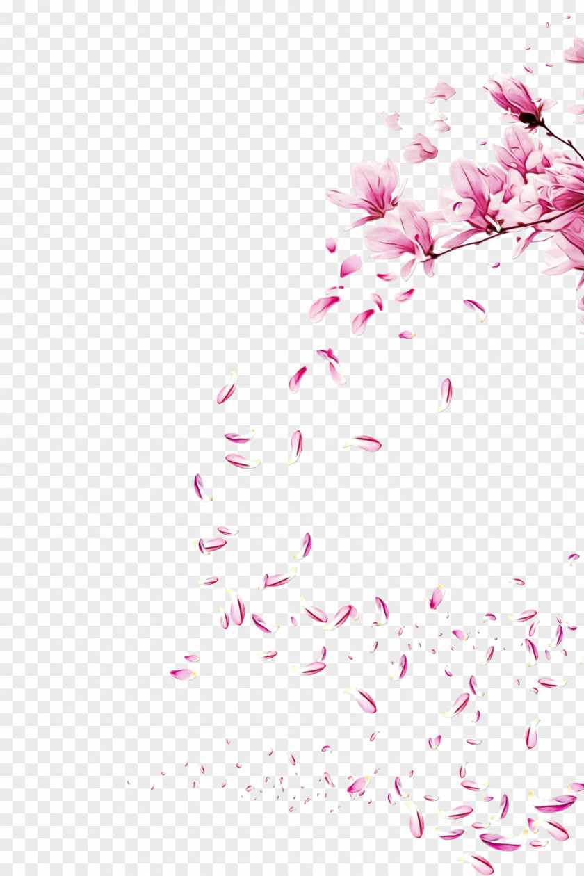 Wildflower Petal Cherry Blossom Cartoon PNG