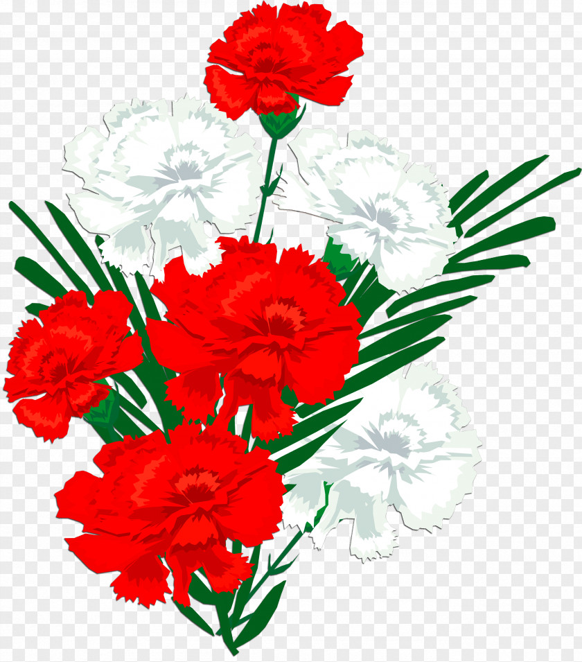 Flower Cut Flowers Red Carnation Plant PNG
