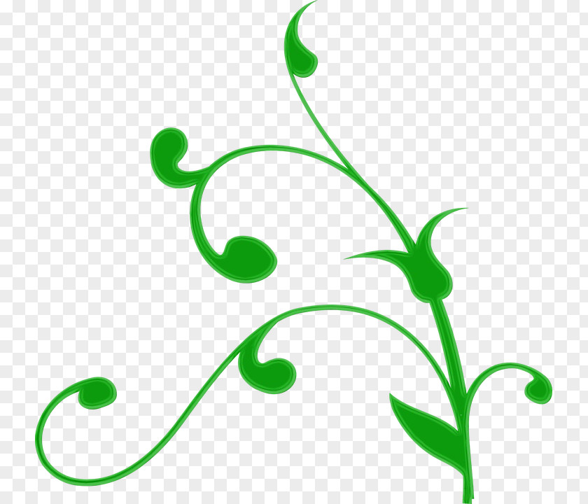 Plant Stem Pedicel Tree Trunk Drawing PNG