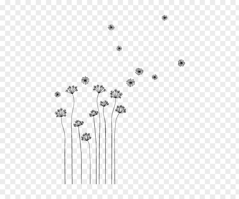 Product Vector Common Dandelion Drawing Phonograph Record Flower Motif PNG