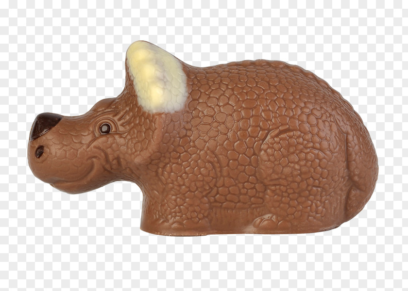 Rhinoceros Beetle Snout Terrestrial Animal PNG