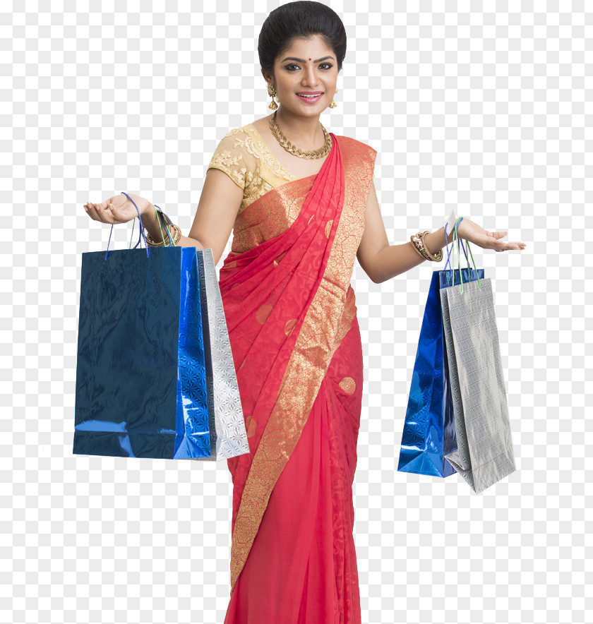 Bride Indian Wedding Clothes Sari PNG