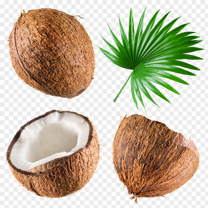 Coconut Nuts Milk Water Stock Photography Royalty-free PNG