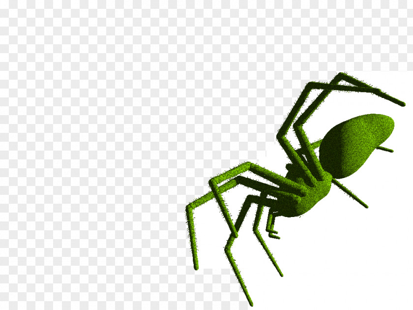Insect Line Pest Clip Art PNG