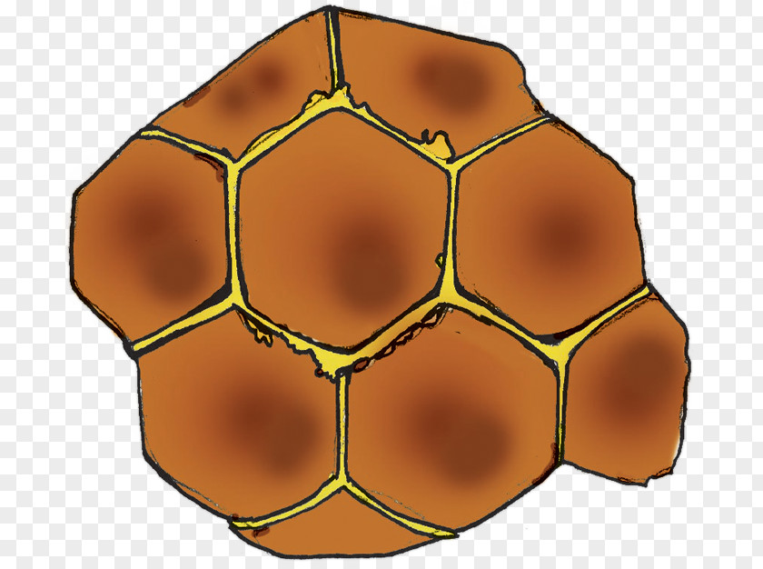 Line Symmetry Ball Pattern PNG