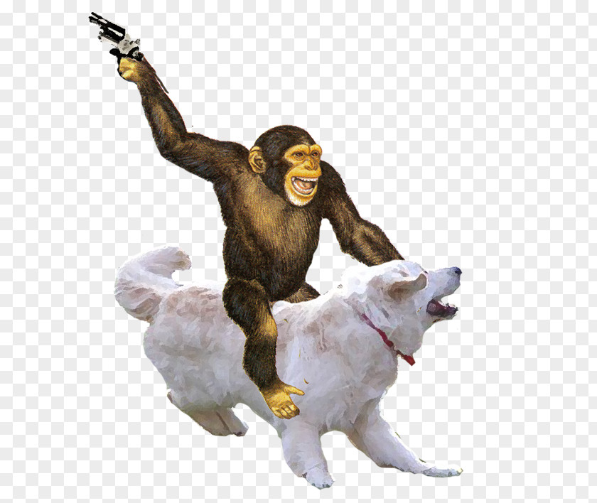 Monkey Ape Primate Simian PNG