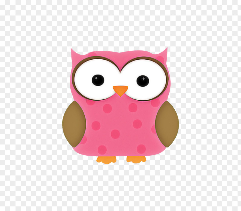Owls Little Owl Tawny Birds School PNG