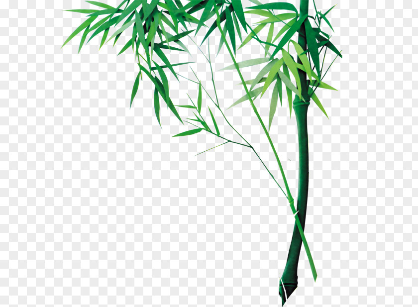 Chinese Bamboo Wind Bamboe PNG
