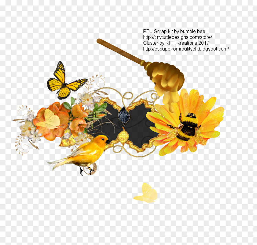 Mother Bee Honey Insect Flower Pollinator PNG
