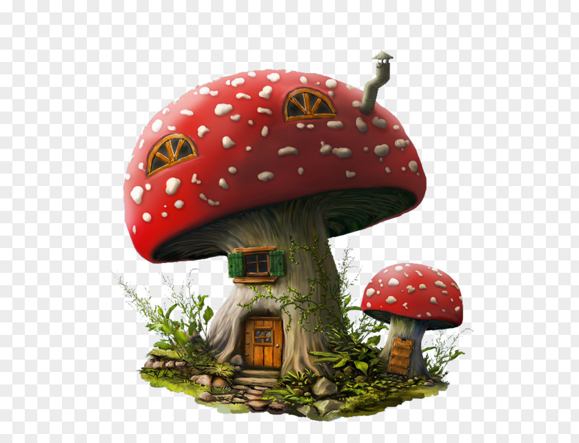 Mushroom House Drawing PNG