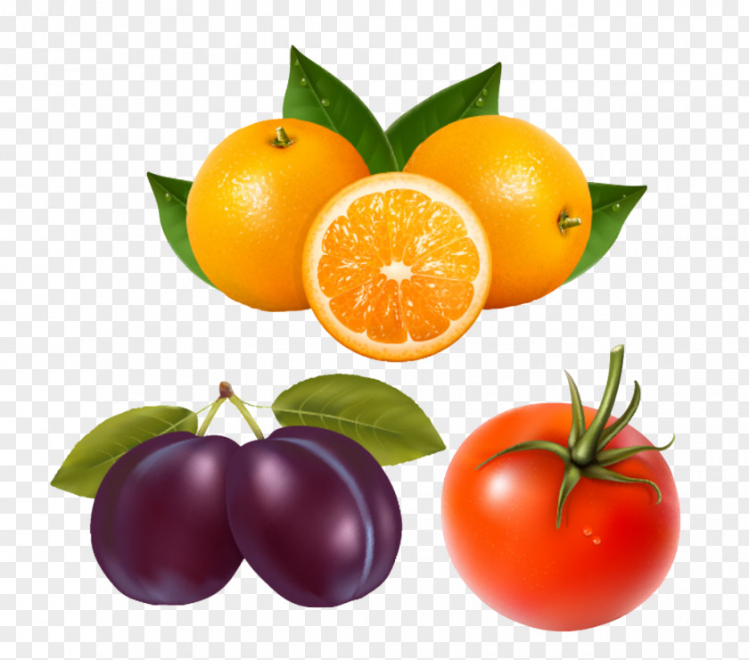 Orange And Plum Tomatoes Juice Clip Art PNG