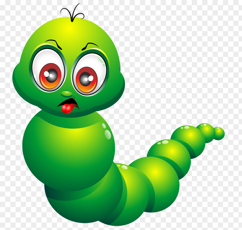 Tone Fur Caterpillar Worm Drawing Cartoon PNG