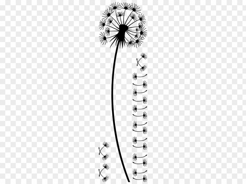 Flower Flowering Plant White Body Jewellery PNG