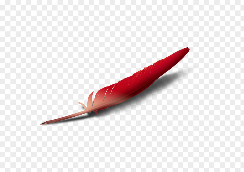 Red Feather Clip Art PNG