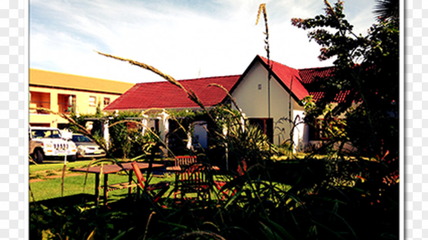 The Willow Tree Guest House Everwood Guesthouse Villa De La Rosa Accommodation PNG