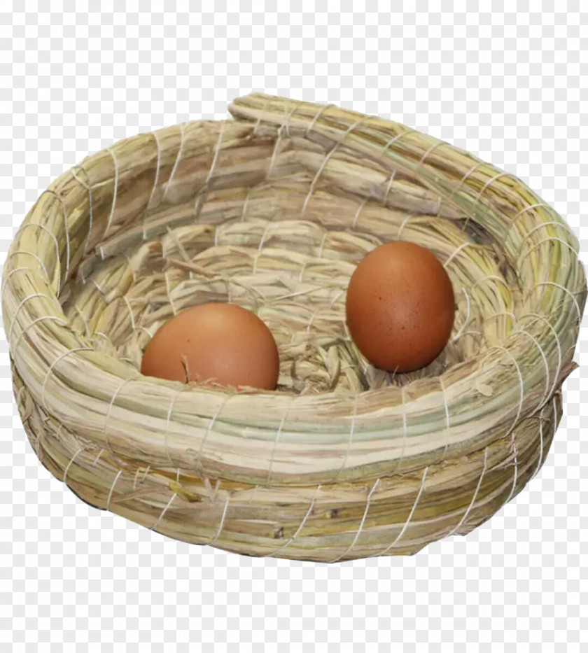 Two Eggs Inside The Nest Download Google Images If(we) Icon PNG