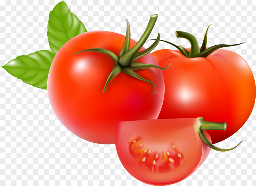 Vegetable, Tomato Plum Bush Soup Vegetable PNG