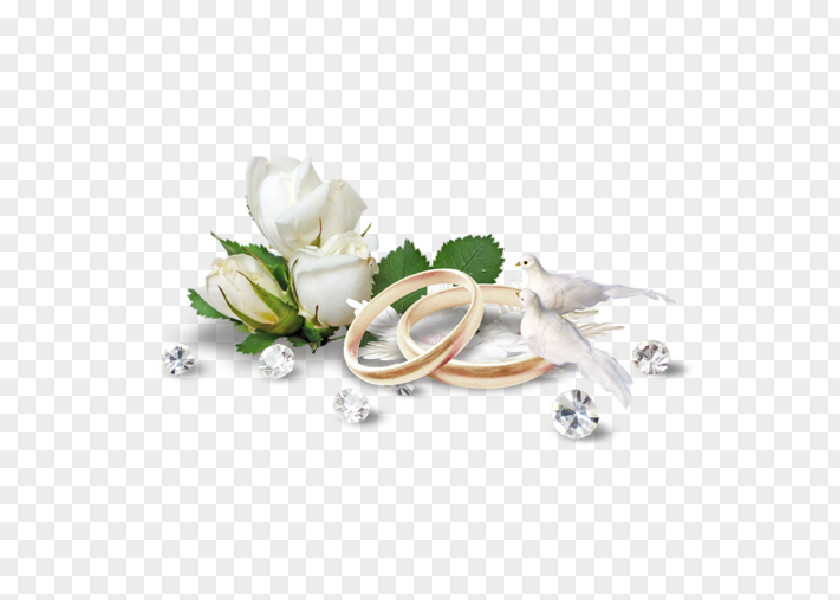 White Flowers Wedding Ring Bride Clip Art PNG