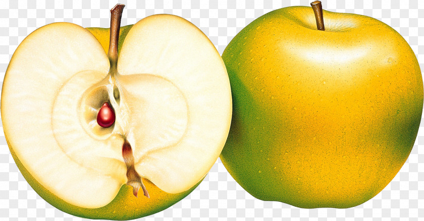 Apple Clip Art PNG