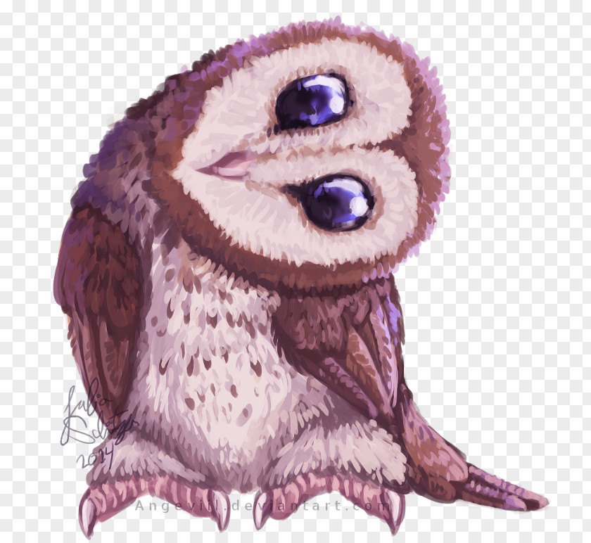 Owl Beak PNG