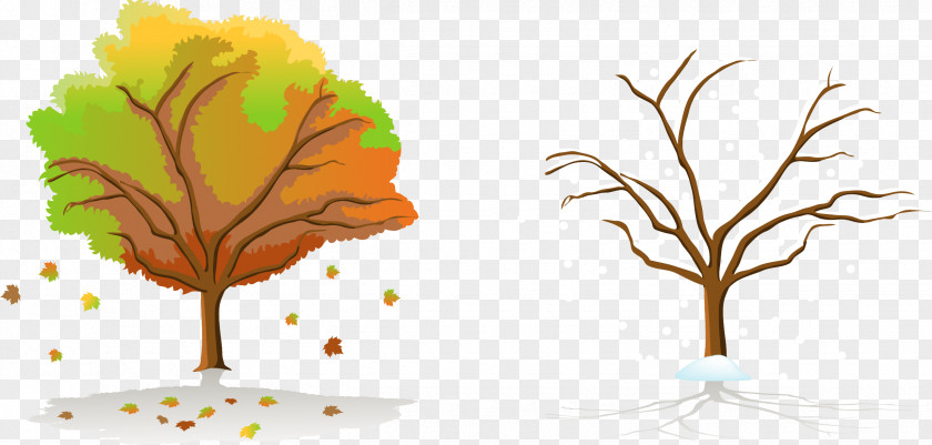 Autumn And Winter Trees Season Tree PNG