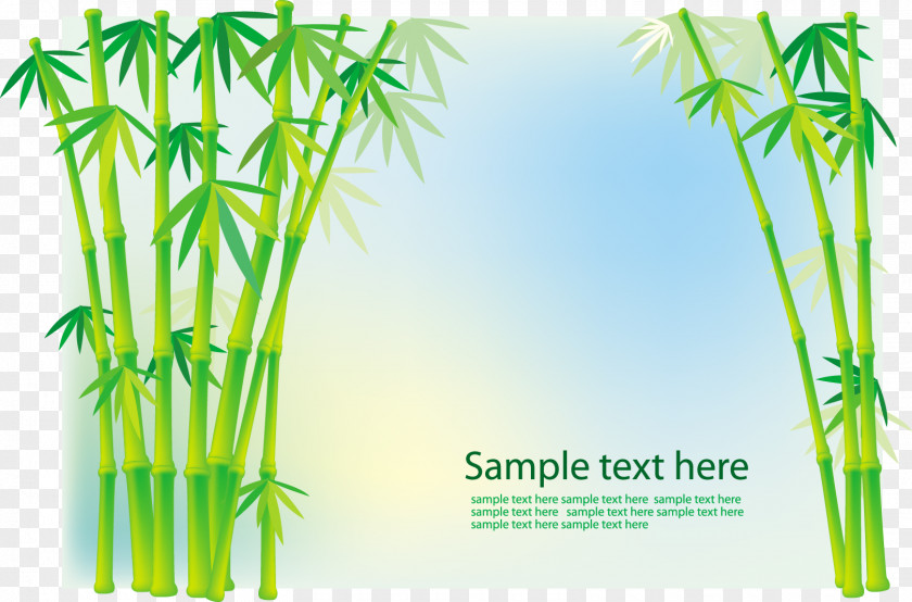 Bamboo Vector Graphics Image Stock Photography Tropical Woody Bamboos PNG