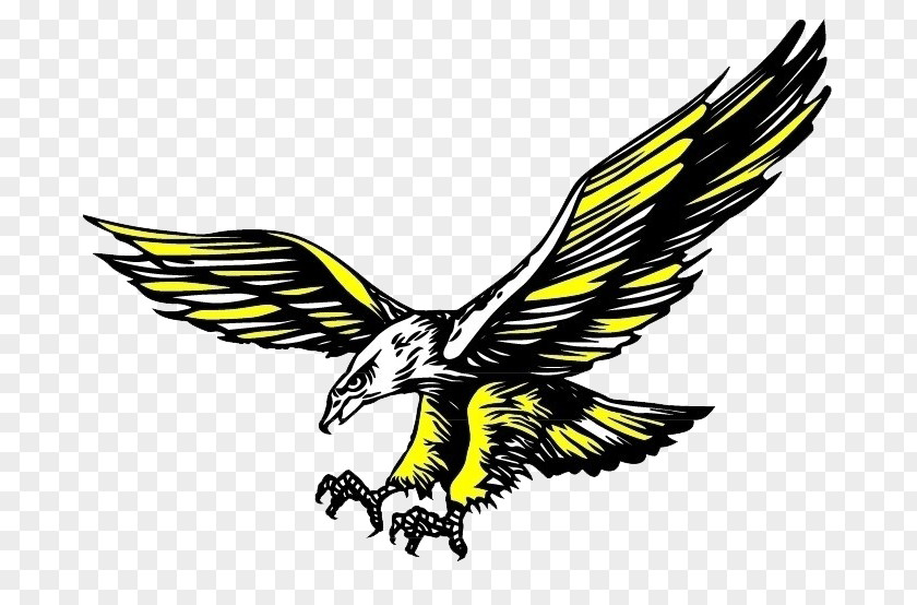 Cartoon Eagle Hawk Icon PNG