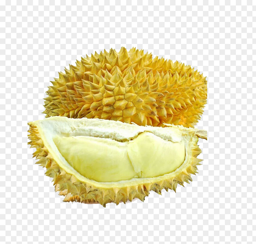 Cat Sanno Durian Durio Zibethinus Auglis U679cu8089 Fruit PNG