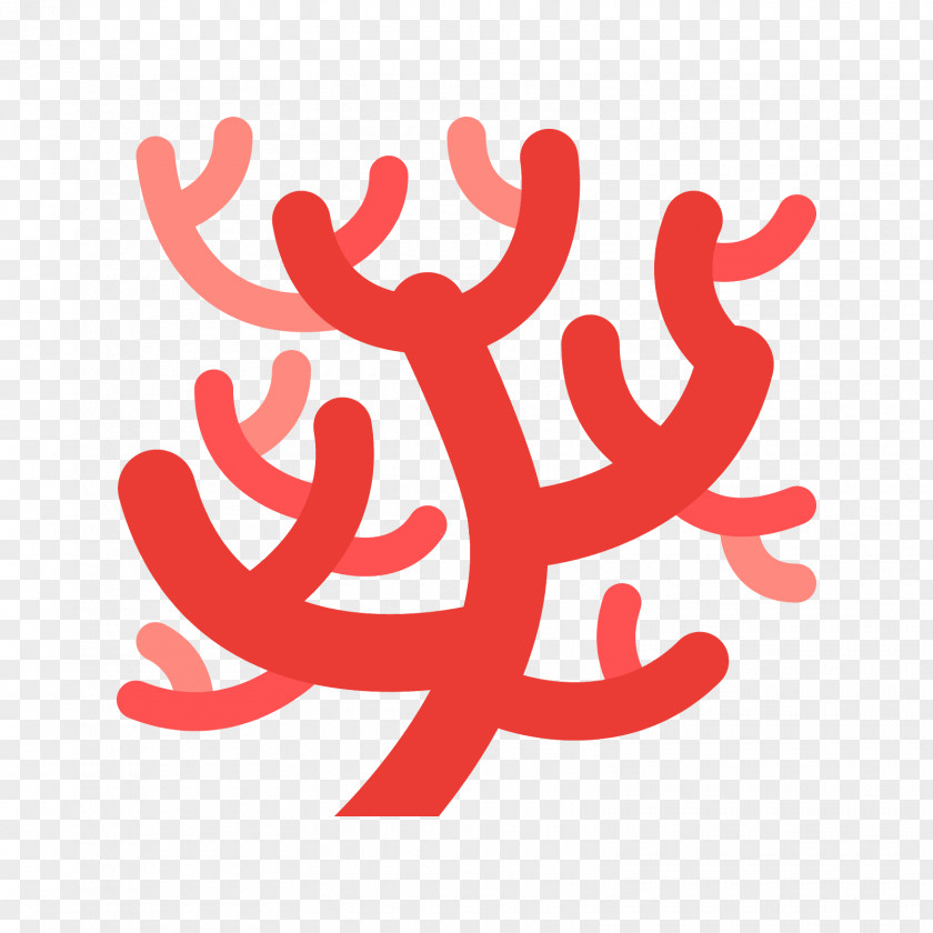 Coral PNG