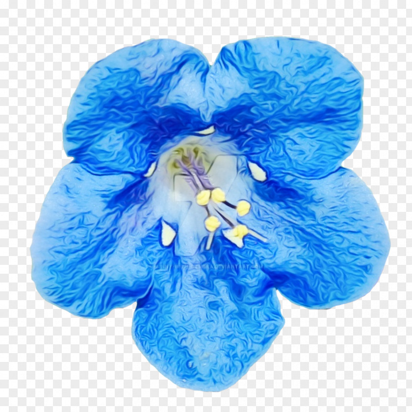 Delphinium Iris Blue Flower Petal Cobalt Plant PNG