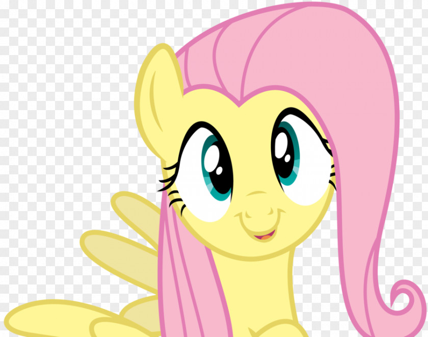 Face Fluttershy Pony Twilight Sparkle Rainbow Dash DeviantArt PNG