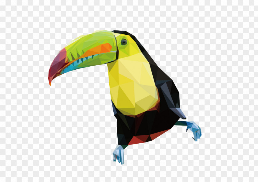 Geometric Parrot Bird Toucan PNG