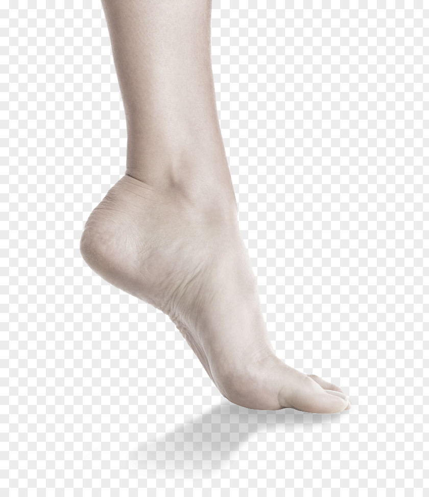Hand Toe Foot Joint Spissfot Ankle PNG